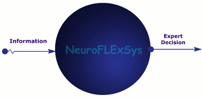 NeuroFLExSys preview